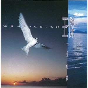 越战女兵施黛小说原著
